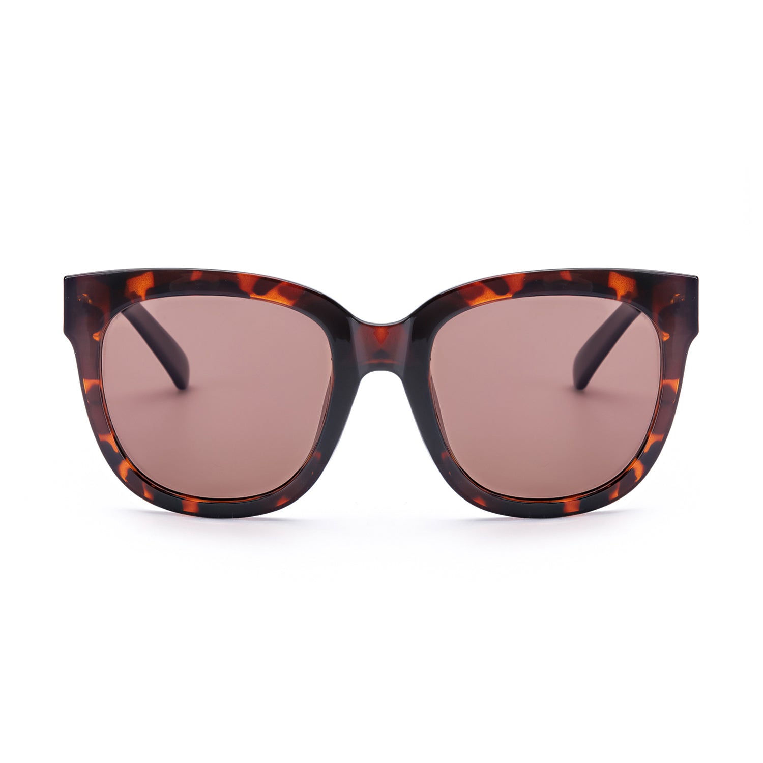 Evidence E Sunglasses Black – Luxuria & Co.